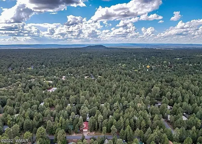 Incredible Whispering Pines Escape *